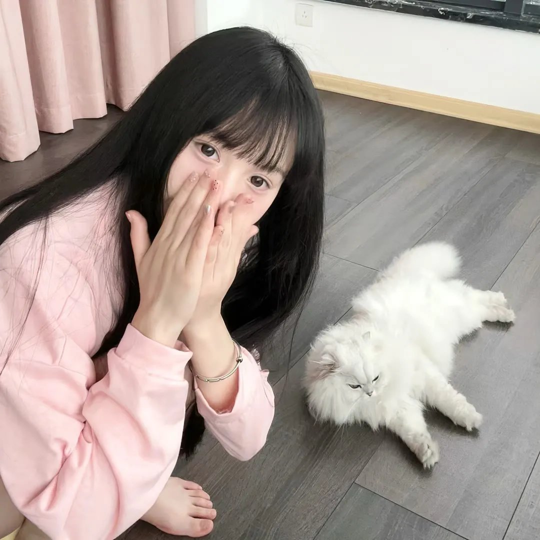 高墙